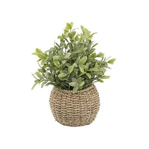 flora bunda artificial tealeaf in 6″ basket pot
