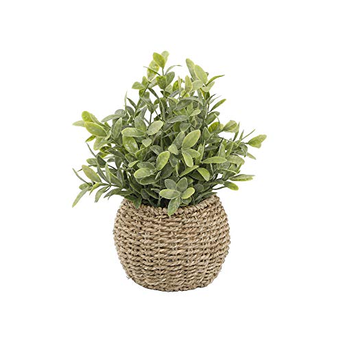 Flora Bunda Artificial Tealeaf in 6" Basket Pot