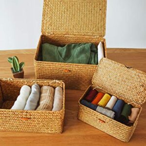 Yesland Shelf Baskets with Lid Set of 3, Handwoven Seagrass Storage Bins Box Rectangular Seagrass Basket Storage Organizer Wicker Basket for Shelf