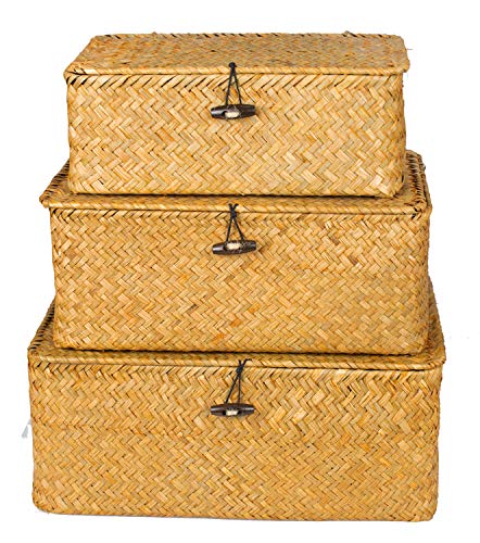 Yesland Shelf Baskets with Lid Set of 3, Handwoven Seagrass Storage Bins Box Rectangular Seagrass Basket Storage Organizer Wicker Basket for Shelf