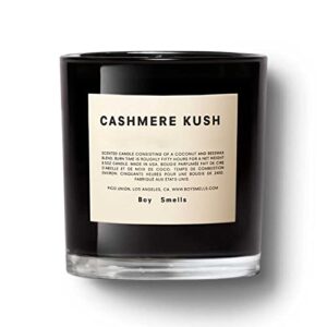 cashmere boy smells candle | 50 hour long burn | coconut & beeswax blend | luxury scented candles for home (8.5 oz)