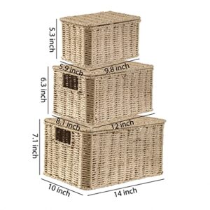 Motifeur Hand-woven Paper Rope Baskets With Lids, Multi-purpose Stackable Utility Organizers (Set of 3, Large 12.6"x9.8"x7.3", Medium 11.8"x7.9"x6.3", Small 9.8"x5.9"x5.5", Natural/Beige)