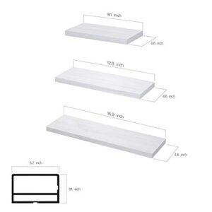 Minggoo Floating Shelves Wall Mounted Set of 3 (White)