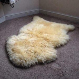 genuine sheepskin rug fur natural champagne sheep skin 2 x 3 approx, australian sheepskin fur rug