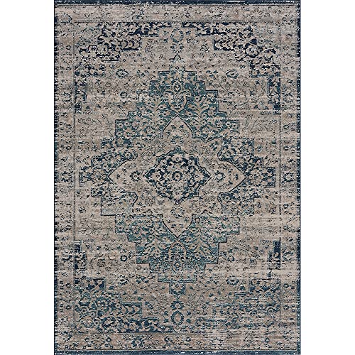 Bloom Rugs Traditional Blue Gray Area Rug - Vintage Boho 6x9 Rug for Living Room, Bedroom and Kitchen (6'6" x 9')