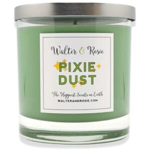 walter & rosie candle co. – pixie dust 11oz scented candle inspired by disney scents – smell inspired from peter pan – the happiest scents on earth – soy blend – up to 40 hrs