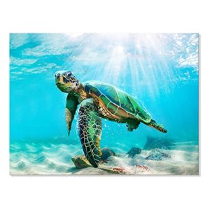 JAPO ART Green Sea Turtle Wall Decor Tropical Canvas Wall Art Prints Hawaii Turtle Picture Gift Florida Sea Life Teal Watercolor Ocean Animal Painting Small Framed Pictures for Bathroom Living Room Office Decor 16x12 Inch