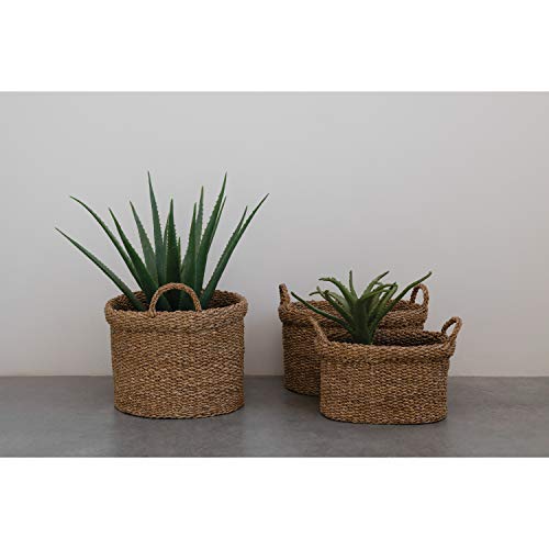 Creative Co-Op Oval Hand-Woven Seagrass Handles, Set of 3 Baskets, Natural