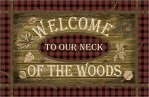 cozy cabin neck of the woods accent rug, 30″x46″, multi