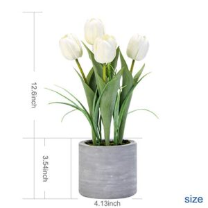 Jusdreen Artificial Potted Tulips Flowers with Cement Vase Vivid Tulip Flowers Arrangement for Home Office Décor House Decorations(5 White Tulips)