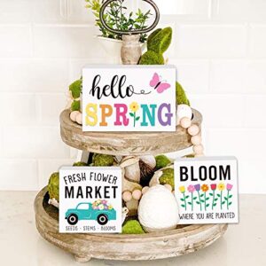 huray rayho party hello spring tiered tray decorations farmhouse mini wood decor easter table centerpieces fresh flower market home 3d signs seasonal bloom butterfly kitchen wooden ornaments set of 3
