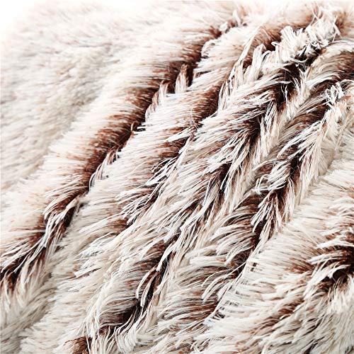 YOU SA New Creative Design Fluffy Shaggy Faux Fur Blanket Ultra Plush Decorative Throw Blanket (Coffee Based,51''x63'')