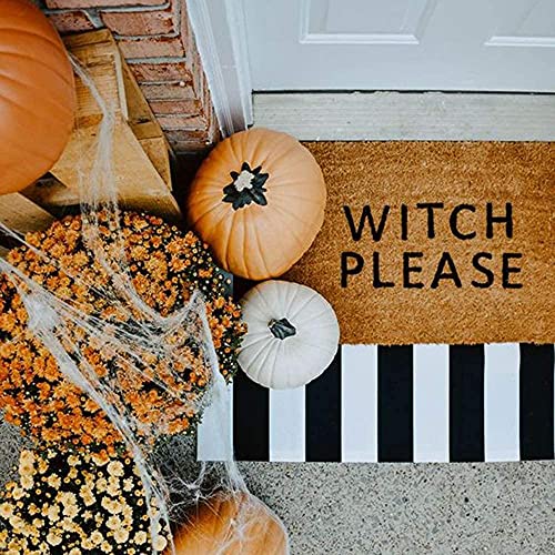 CAINANEL Black and White Striped Outdoor Rug 27.5X 43 inches Front Door Mat Hand-Woven Cotton Indoor/Outdoor for Layered Door Mats,Welcome Door Mat, Front Porch,Farmhouse,Kitchen,Entry Way