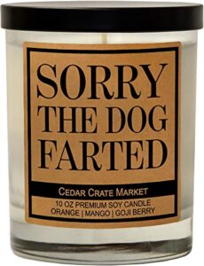 dog mom gifts for women, dog lovers gifts for women, men, funny dog candles for dog lovers, dog candle, dog dad gifts for men, dog gifts for dog lovers, pet mom, fur mamas, rescue, made in the usa