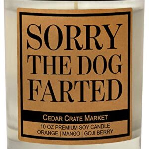 Dog Mom Gifts for Women, Dog Lovers Gifts for Women, Men, Funny Dog Candles for Dog Lovers, Dog Candle, Dog Dad Gifts for Men, Dog Gifts for Dog Lovers, Pet Mom, Fur Mamas, Rescue, Made in The USA