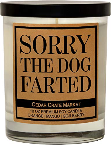 Dog Mom Gifts for Women, Dog Lovers Gifts for Women, Men, Funny Dog Candles for Dog Lovers, Dog Candle, Dog Dad Gifts for Men, Dog Gifts for Dog Lovers, Pet Mom, Fur Mamas, Rescue, Made in The USA