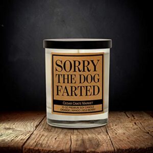 Dog Mom Gifts for Women, Dog Lovers Gifts for Women, Men, Funny Dog Candles for Dog Lovers, Dog Candle, Dog Dad Gifts for Men, Dog Gifts for Dog Lovers, Pet Mom, Fur Mamas, Rescue, Made in The USA