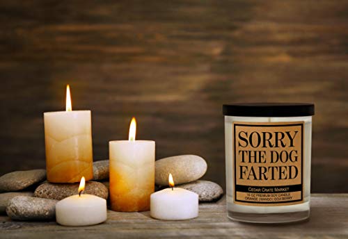 Dog Mom Gifts for Women, Dog Lovers Gifts for Women, Men, Funny Dog Candles for Dog Lovers, Dog Candle, Dog Dad Gifts for Men, Dog Gifts for Dog Lovers, Pet Mom, Fur Mamas, Rescue, Made in The USA