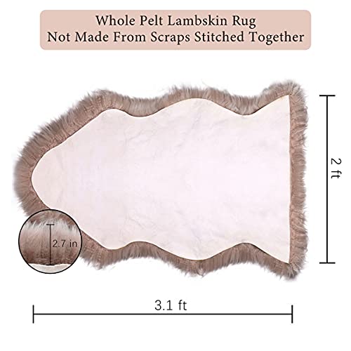 OKAYDA Premium Sheepskin Rug Genuine Natural New Zealand Lambskin Area Rug Fluffy and Soft Throw Rug Luxury Decor for Bedroom Living Room Sofa Floor (Bean Color)