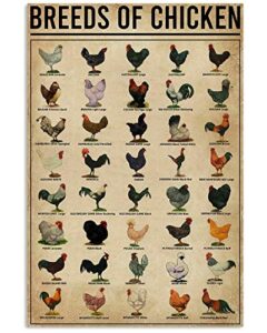 eeypy breeds of chickens poster wall art home decor vintage metal tin signs coffee shop plate iron painting warn retro novelty funny humorous bar pub restaurant kitchen tin sign wall 8×12 inch mix011