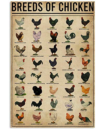 Eeypy Breeds of Chickens Poster Wall Art Home Decor Vintage Metal Tin Signs Coffee Shop Plate Iron Painting Warn Retro Novelty Funny Humorous Bar Pub Restaurant Kitchen Tin Sign Wall 8x12 Inch Mix011