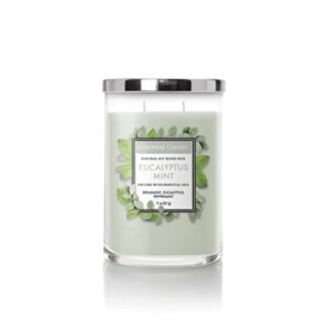 Colonial Candle Eucalyptus Mint Scented Jar Candle, Classic Cylinders Collection, 2 Wick, Green, 11 oz - Up to 80 Hours Burn