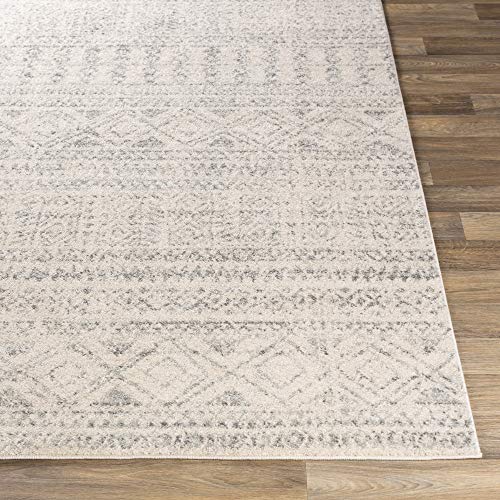 Artistic Weavers Victor Bohemian Moroccan Area Rug