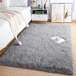 Quenlife Soft Bedroom Rug, Plush Shaggy Carpet Rug for Living Room, Fluffy Area Rug for Kids Grils Room Nursery Home Decor Fuzzy Rugs with Anti-Slip Bottom, 4 x 6ft, Grey