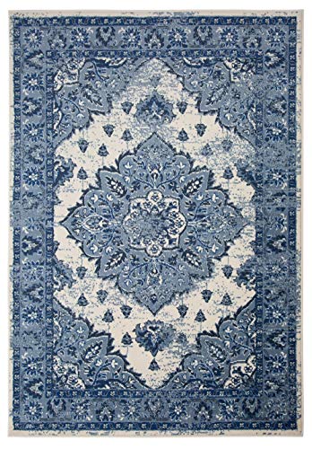 PRIYATE Distressed Vintage Indoor Area Rug 8' x 10' – Persian Style, Medallion, Oriental, Odelia Collection - Easy Clean, Pet Friendly, High Traffic Carpet - Bedroom, Hallway, Living & Dining Room