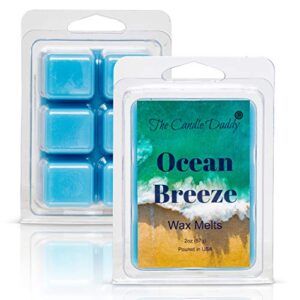 the candle daddy ocean breeze – 2 oz wax melt- 6 cubes- refreshing beach scent, gift for women, men, bff, friend, wife, mom, birthday, sister, daughter, sea aroma