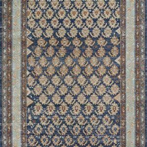 Momeni Lillihan Traditional Indoor Area Rug