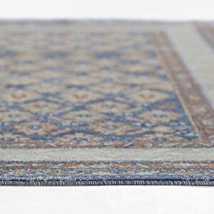 Momeni Lillihan Traditional Indoor Area Rug