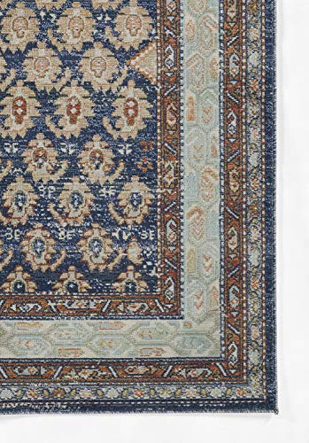 Momeni Lillihan Traditional Indoor Area Rug