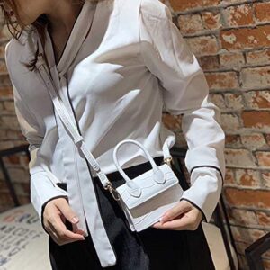 Cute Purse Mini Crossbody Bags for Women Girls Top Handle Clutch Handbag (White Crocodile)