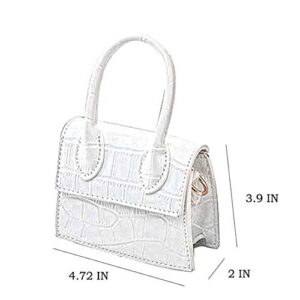 Cute Purse Mini Crossbody Bags for Women Girls Top Handle Clutch Handbag (White Crocodile)