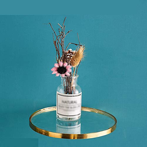 Modern Floating Glass Shelf with Golden Metal Ring for Plants, Books and Other Decorations, Transparent Hanging Shelves in Rooms, Corridors and Wall