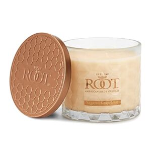 root candles honeycomb beeswax blend scented candle, 12-ounce, sugared grapefruit