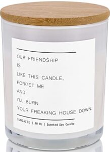 sundazze our friendship is like this large scented candle – 25oz, natural soy, vanilla fragrance – funny best friend candle, novelty gifts for women – eco-friendly, 70-hour burn time . vanilla