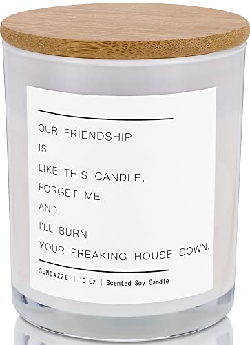 SUNDAZZE Our Friendship is Like This Large Scented Candle – 25oz, Natural Soy, Vanilla Fragrance – Funny Best Friend Candle, Novelty Gifts for Women – Eco-Friendly, 70-Hour Burn Time . Vanilla