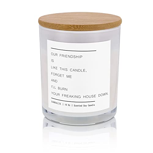 SUNDAZZE Our Friendship is Like This Large Scented Candle – 25oz, Natural Soy, Vanilla Fragrance – Funny Best Friend Candle, Novelty Gifts for Women – Eco-Friendly, 70-Hour Burn Time . Vanilla