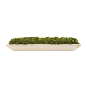 mud pie preserved moss paulownia tray, natural, 5 3/4″ x 25 3/4″