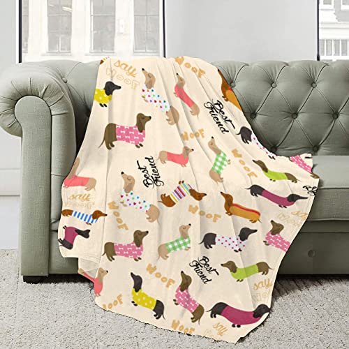 Cute Dachshund Flannel Fleece Bed Blanket Throw Blanket Lightweight Cozy for Bedroom All Season Sofa Decor Gift 40x30 inch for Pets