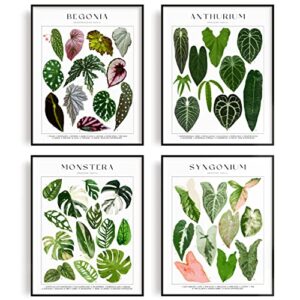 buy 3 get 1 offer – set of 4 unframed plant poster – botanical wall art – plant stuff – green wall art – plant wall art – plant art wall prints – plant prints – plant pictures wall art 8×10″ (verde)