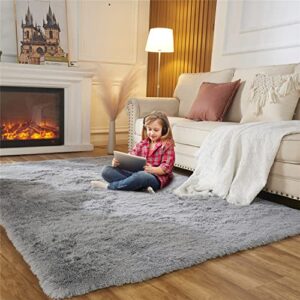 area rugs for bedroom living room, 5ft x 7ft light gray fluffy carpet for teens room, shaggy throw rug clearance for nursery room, fuzzy plush rug for dorm
