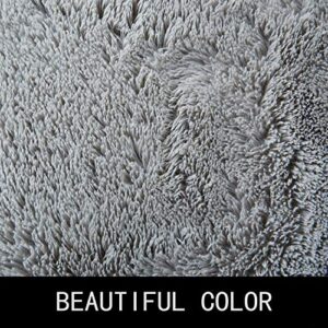 Area Rugs for Bedroom Living Room, 5ft x 7ft Light Gray Fluffy Carpet for Teens Room, Shaggy Throw Rug Clearance for Nursery Room, Fuzzy Plush Rug for Dorm