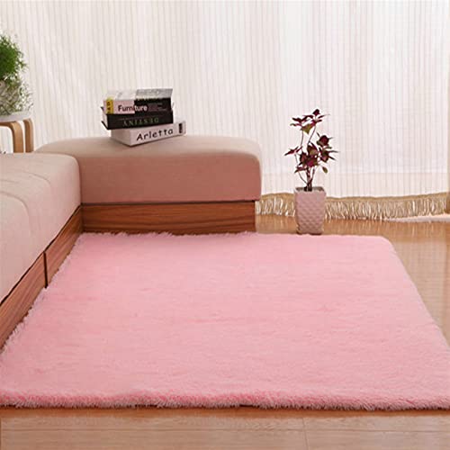 BESTORI Soft Solid Color Area Rug Bedroom Plush Carpet Living Room Home Decor Blanket Pink 35x23 inch