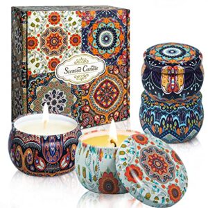 redfruit Scented Candles Gift Set for Womem: 4 Pack Package - Aromatherapy Candle Sets,Natural Soy Wax Candle Can Help Stress Relief&Body Relaxation,Very Suitable for Festival,Bath,Yoga.
