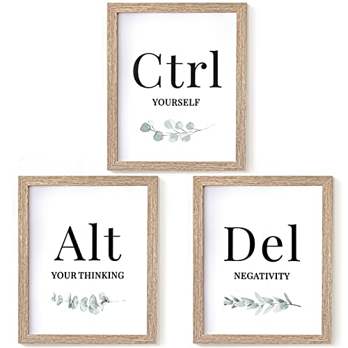 Ctrl Alt Del Motivational Wall Art Inspirational Quote Office Wall Decor Motivational Posters for Office Positive Affirmations Poster Motivational Decor for Home School Office, 10 x 8 Inch, Unframed