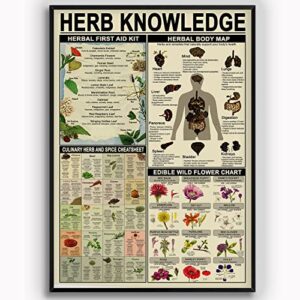 herb knowledge metal tin signs herbal first aid kit infographic poster pharmacist study guide tin plaque home pharmacy office kitchen wall decor 8×12 inches