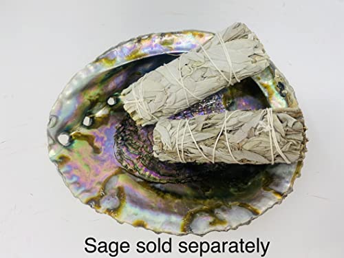 Bholi Sage Plus Sage Smudge Kit Abalone Shell Bowl 6-7 Inches Used for Burning Sage, Home Decor or Accent Piece